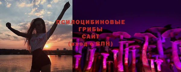 круглые Алзамай