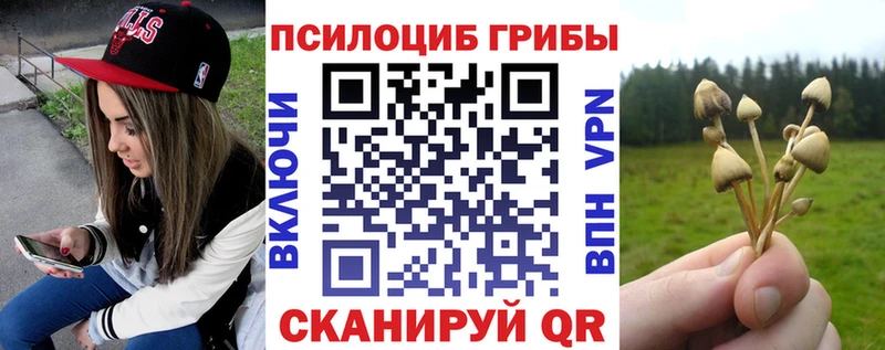 закладка  Сосновый Бор  Галлюциногенные грибы ЛСД 